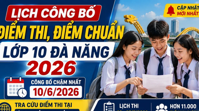 Kde a kdy si mohu ověřit výsledky mých zkoušek z 10. ročníku v Da Nangu z roku 2026?