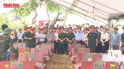 [Video] Phu Tho fungerer som et sted for indsamling af resterne af uidentificerede martyrer.