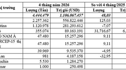 Vietnam käytti 1,1 miljardia dollaria maissin tuontiin vuoden 2026 neljän ensimmäisen kuukauden aikana.