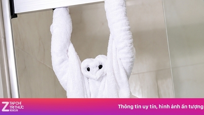 호텔에서 수건을 동물 모양으로 접는 이유는 무엇일까요?