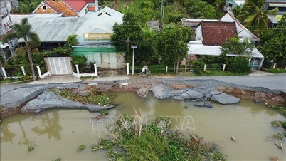 Dong Thap met en œuvre des solutions douces et « respectueuses de la nature » pour lutter contre les glissements de terrain.