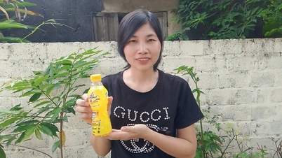 En kvindelig arbejder i Thanh Hoa-provinsen vandt 50 millioner VND efter at have deltaget i en kampagne efter arbejdstid.