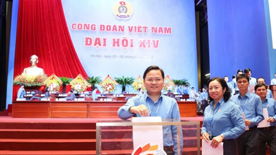 Lao Cain maakunnan ammattiliittojen liiton puheenjohtaja osallistuu Vietnamin yleisen työväenliiton toimeenpanevan komitean kokouksiin 14. kaudella.