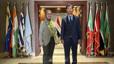 Vietnam og Egypten fremmer et omfattende partnerskab.