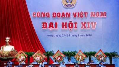 UPDATE: Der Premierminister führte Gespräche mit Delegierten des 14. Kongresses der vietnamesischen Gewerkschaften.
