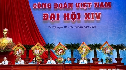 Kongres Serikat Buruh Vietnam ke-14: Perdana Menteri mengadakan dialog dengan para delegasi.