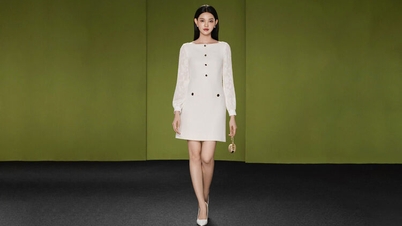 Kekuatan kombinasi warna: Ketika hitam dan putih menciptakan daya tarik yang tak tertahankan.