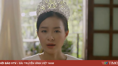 Lời hứa đầu tiên - Tập 16: Vi Minh livestream tìm lại danh dự, Hải Đăng và Quỳnh Mai bất đồng