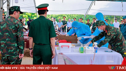 Phú Thọ lấy mẫu ADN hài cốt liệt sĩ chưa xác định danh tính, phấn đấu hoàn thành trước tháng 3/2027