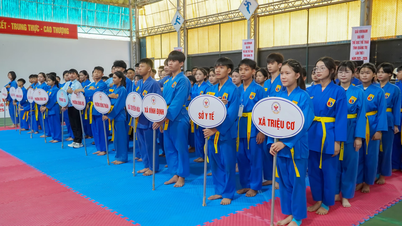 Over 100 atleter deltog i Vovinam-konkurrencen på Quang Tri Provincial Sports Festival.