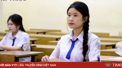Lỗi mất điểm cần tránh trong bài thi Ngữ văn Tốt nghiệp THPT 2026