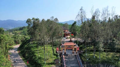 ຢືນຢັນຄຸນຄ່າພິເສດຂອງຄະນະກຳມະການພັກເຂດ 5.