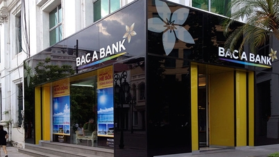 يواصل بنك BAC A إصدار السندات للجمهور - مما يجذب العملاء الذين يبحثون عن خيارات استثمارية آمنة ومربحة.