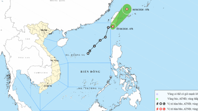 Depresi tropis: Telah bergerak keluar dari Laut Cina Selatan, diperkirakan akan menuju Taiwan (Cina).
