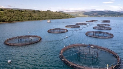 Dia Mundial dos Oceanos: Transformando Desafios em Oportunidades