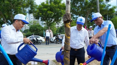 Da Nang käynnistää ympäristön hyväksi toteutettavan toimintakuukauden ja Vietnamin merten ja saarten viikon vuonna 2026.