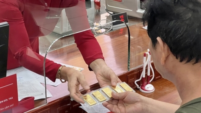 Cập nhật giá vàng ngày 5/6/2026: Bảng giá vàng hôm nay từ vàng miếng, nhẫn trơn