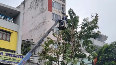 Ho Chi Minh City: Puiden turvallisuuden varmistaminen sade- ja myrskykauden aikana.