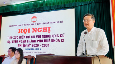 Udnævnelse af professor Dr. Nguyen Vu Quoc Huy til fungerende direktør for Hue Universitet.