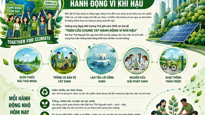 Ngày Môi trường thế giới 2026: Khi mỗi thành viên Đại học Thái Nguyên chọn hành động vì khí hậu
