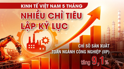 Kinh tế Việt Nam 5 tháng: Nhiều chỉ tiêu lập kỷ lục