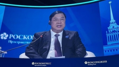 Le vice-Premier ministre Pham Gia Tuc a assisté à la séance d'ouverture du Forum économique de Saint-Pétersbourg, en Fédération de Russie, où il a prononcé un discours.