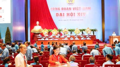 Dong Nai har 3 delegerede valgt til den vietnamesiske arbejdsforbunds eksekutivkomité.