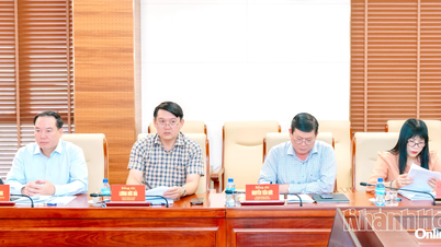 Thường trực Ban Chỉ đạo Phòng, chống tham nhũng, lãng phí, tiêu cực tỉnh chỉ đạo thực hiện một số nhiệm vụ quan trọng