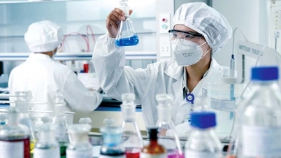 Livzon og dens langsigtede strategi på det vietnamesiske farmaceutiske marked.