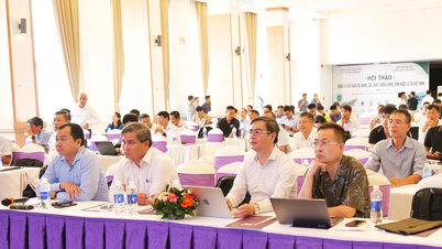 Hội thảo bàn giải pháp nâng cao chất lượng giống tôm nước lợ