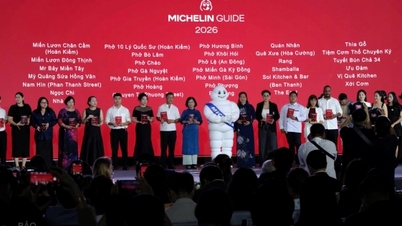 Hvad mener eksperter om Michelin-prisen i Vietnam?