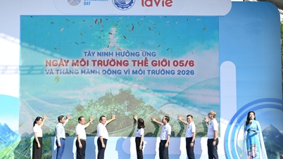Tay Ninh lancerer Verdensmiljødagen og Miljøets Handlingsmåned 2026