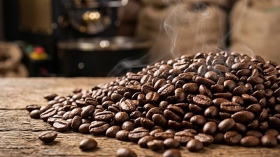 Preços do café hoje, 5 de junho de 2026: Queda acentuada em todos os setores.
