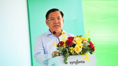 Syngenta Vietnam organiserer et program til træplantning og indsamling af pesticidemballage i Can Tho og An Giang i 2026.