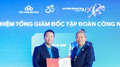 Dang Tung Son on nimitetty CMC:n toimitusjohtajaksi.
