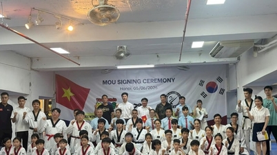 Thi đấu giao lưu võ thuật Taekwondo Kids 2026