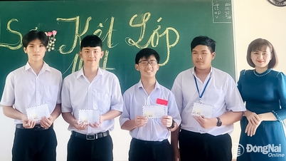 An der Dong Nai wurde ein Schüler für die Teilnahme an der Internationalen Olympiade für Künstliche Intelligenz 2026 ausgewählt.