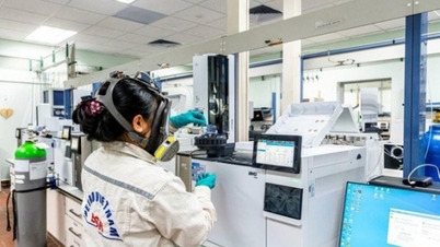 Se la procedura di rinnovo non viene seguita, il marchio potrebbe non essere più protetto.