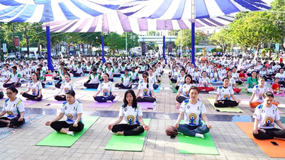 Organisering af den 12. internationale yogadag i Can Tho City