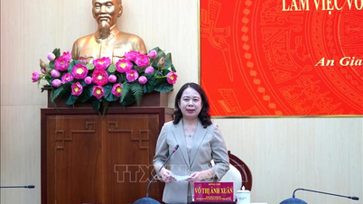 Vo Thi Anh Xuan elvtárs az An Giang Tartományi Pártbizottság Állandó Bizottságával dolgozik.