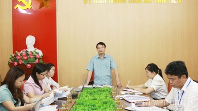 Monitoring the implementation of digital transformation in Tan Tien commune.