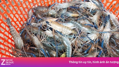Çin, sadece beş ay içinde Vietnam'dan bir milyar dolardan fazla deniz ürünü satın aldı.