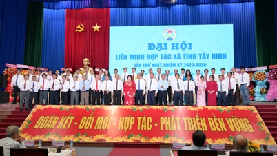 Hr. Ngo Thanh Tuyen blev valgt til formand for den provinsielle kooperative union for perioden 2025-2030.