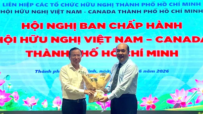 Ho Chi Minh City afholder høringer om udnævnelse af formænd for fire venskabsforeninger.