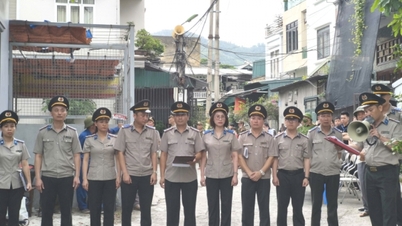 Tổ chức cưỡng chế giao tài sản thi hành án dân sự