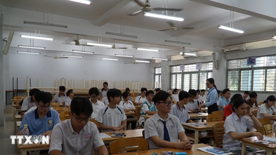 Ho Chi Minh City National University: Fordelingen af ​​​​resultater i kompetencevurderingseksamen viser en klar lagdeling.