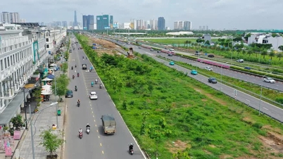Ho Chi Minh City søger input fra Dong Nai-provinsen for at blive enige om en plan for den 48 km lange jernbanelinje Thu Thiem - Long Thanh.