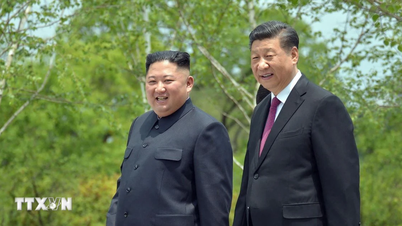 Chinese President and General Secretary Xi Jinping will pay a state visit to North Korea.