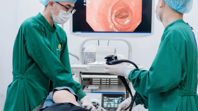Cô gái 23 tuổi phát hiện khối dị vật lớn trong dạ dày, nguyên nhân từ sai lầm nhiều người mắc khi ăn