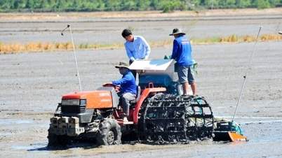 Meluncurkan zona penghubung produksi beras berkualitas tinggi dan rendah emisi di Dong Thap.